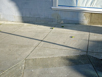 Sidewalk detail, Sanchez and Duboce Sts.